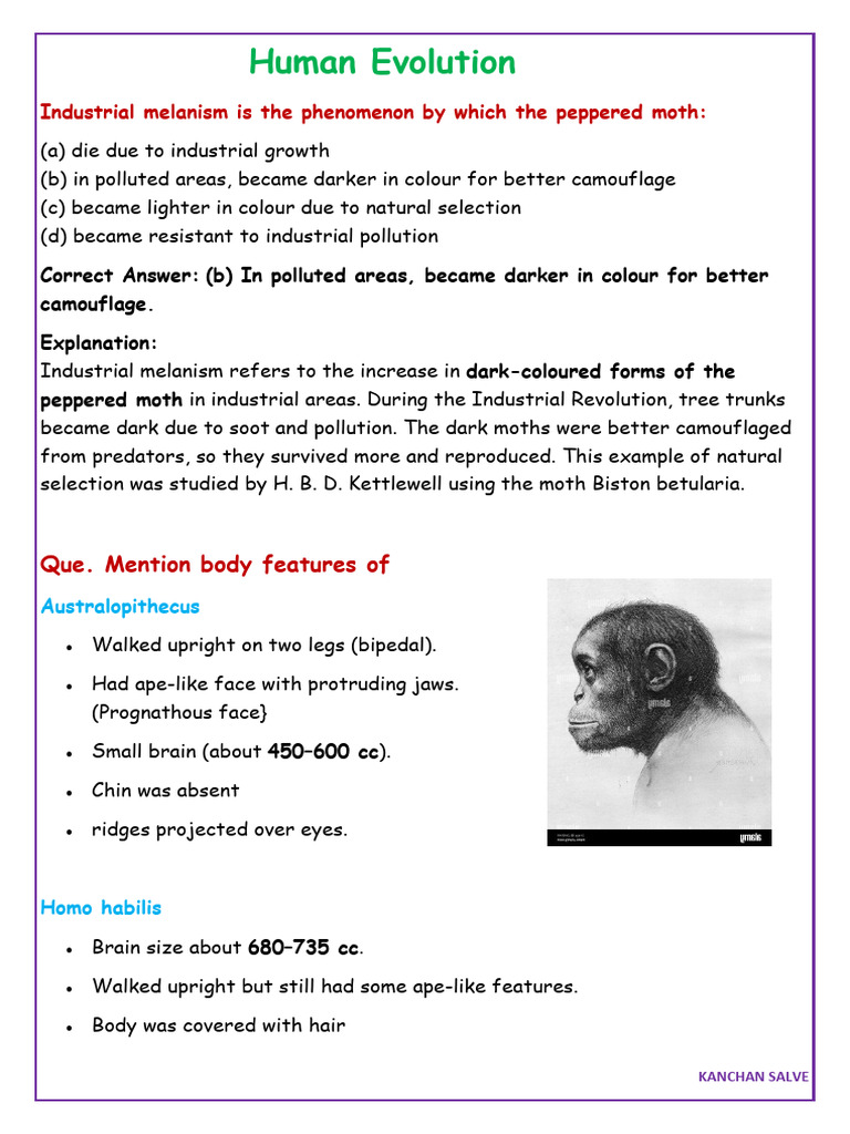 Human Evolution | PDF | Homo | Natural Selection