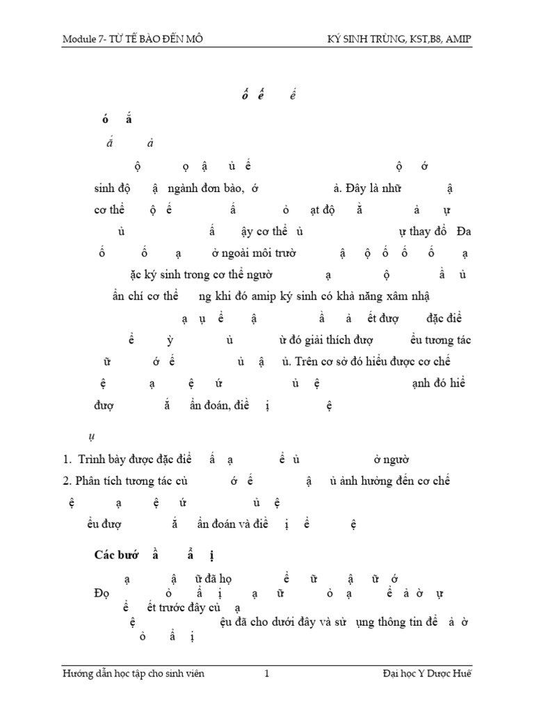 Amip | PDF