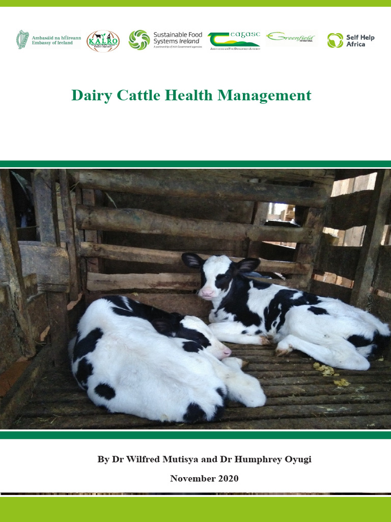 Dairy Cattle Health Management | PDF