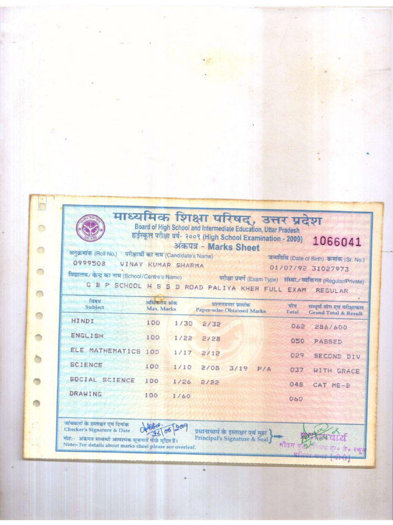 Hs Marksheet | PDF