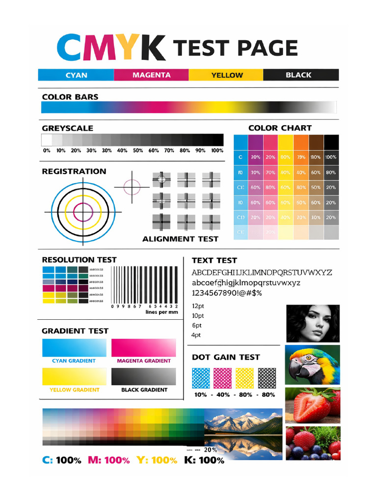 CMYK Print Test Page Final | PDF