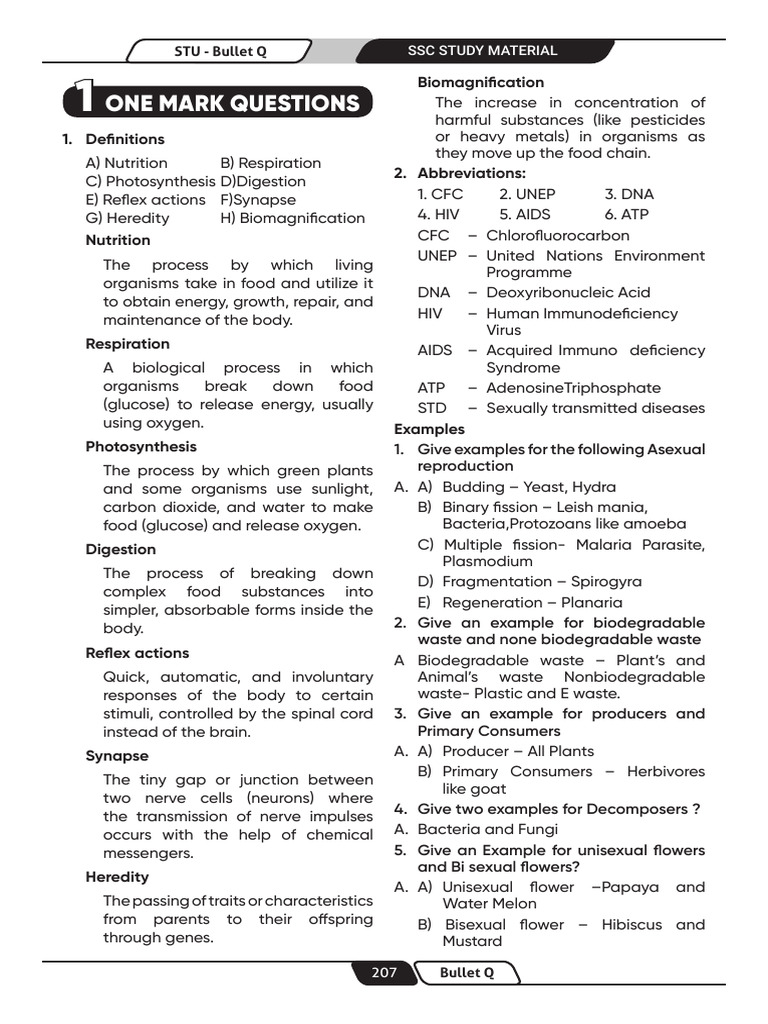 STU BS Study Material | PDF | Hormone | Saliva