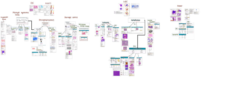 Hematology Chart by Medliferesuscitation | PDF
