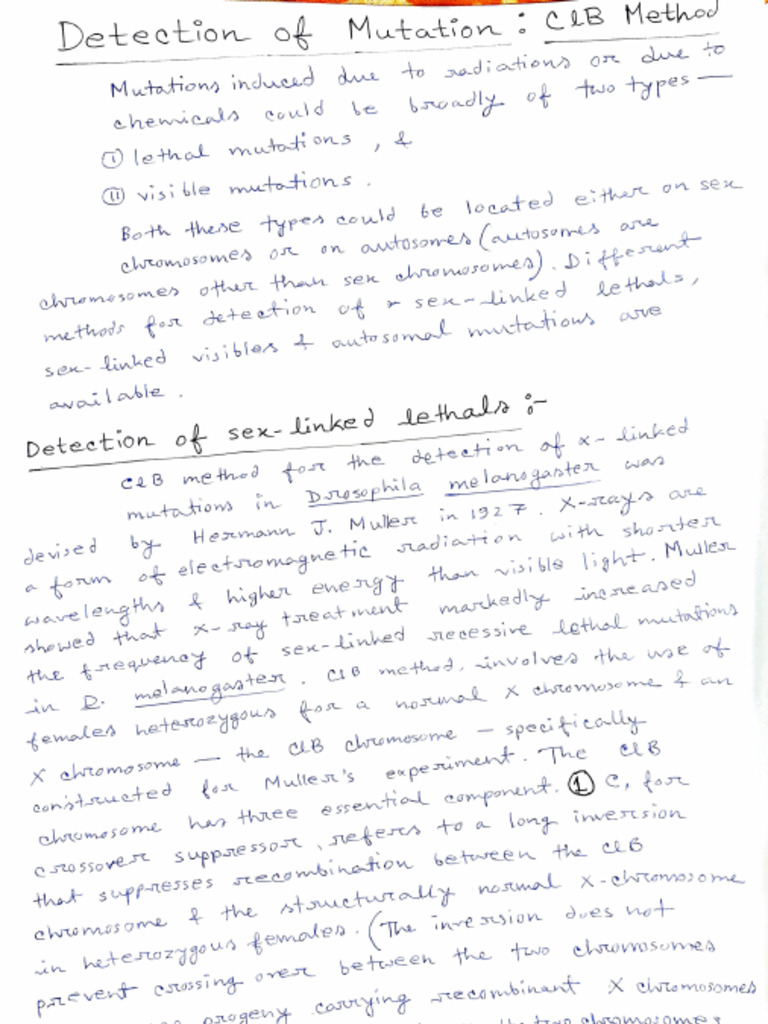 CLB Method (Mutation Detection) | PDF