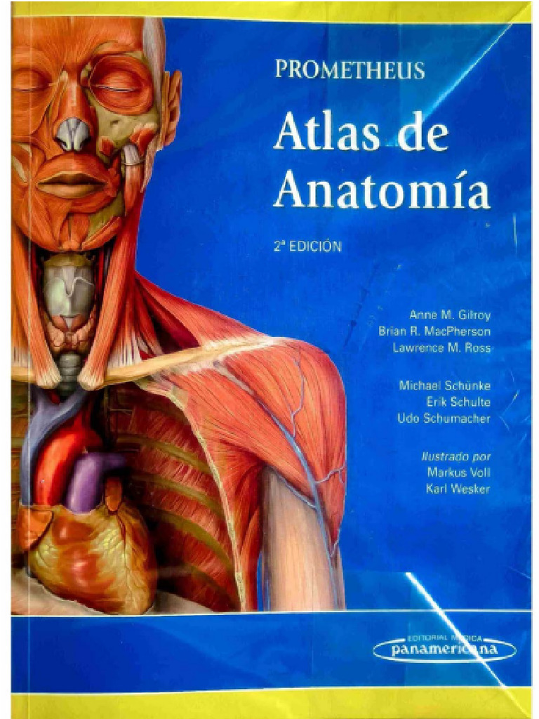 Atlas de Anatomia Humana Prometheus 2 Optimizado | PDF