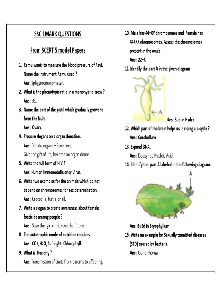 SSC 1marks From Scert 5 Model Papers | PDF | Reproduction | Heredity