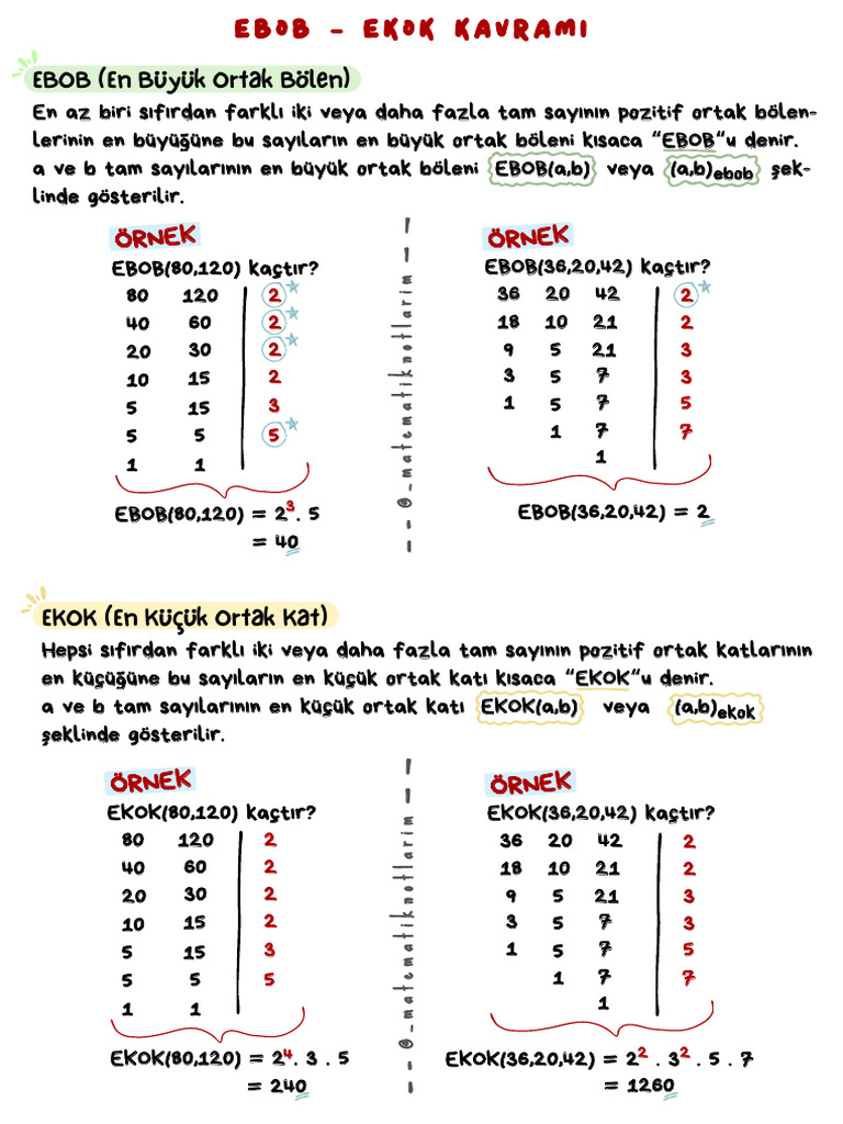 Ebob - Ekok (Özet) | PDF