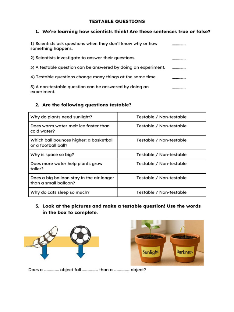 Testable Questions TP | PDF