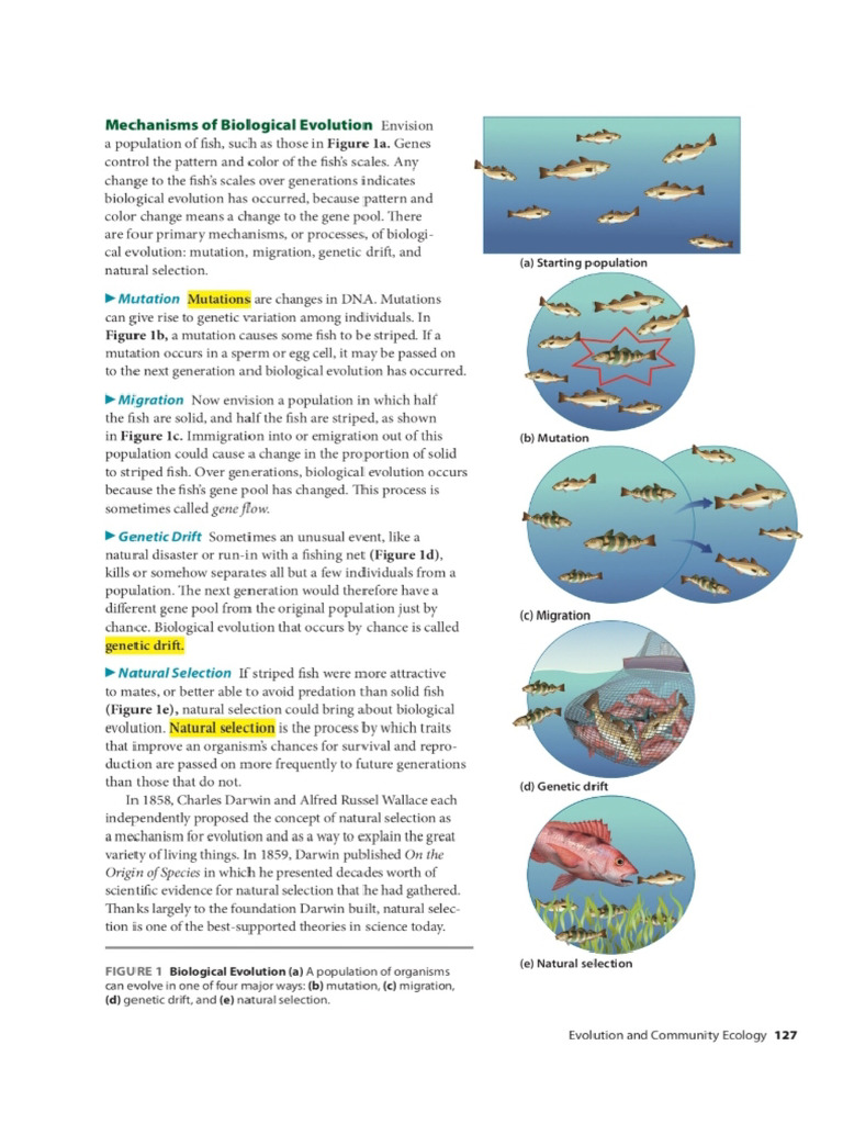 Florida Environment Science | PDF