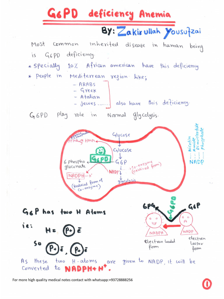 9 g6pd Deficiency | PDF