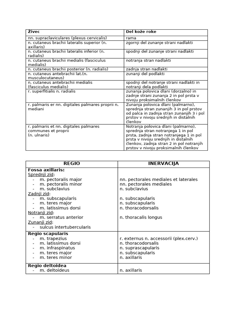 Roka Misice&inervacija | PDF
