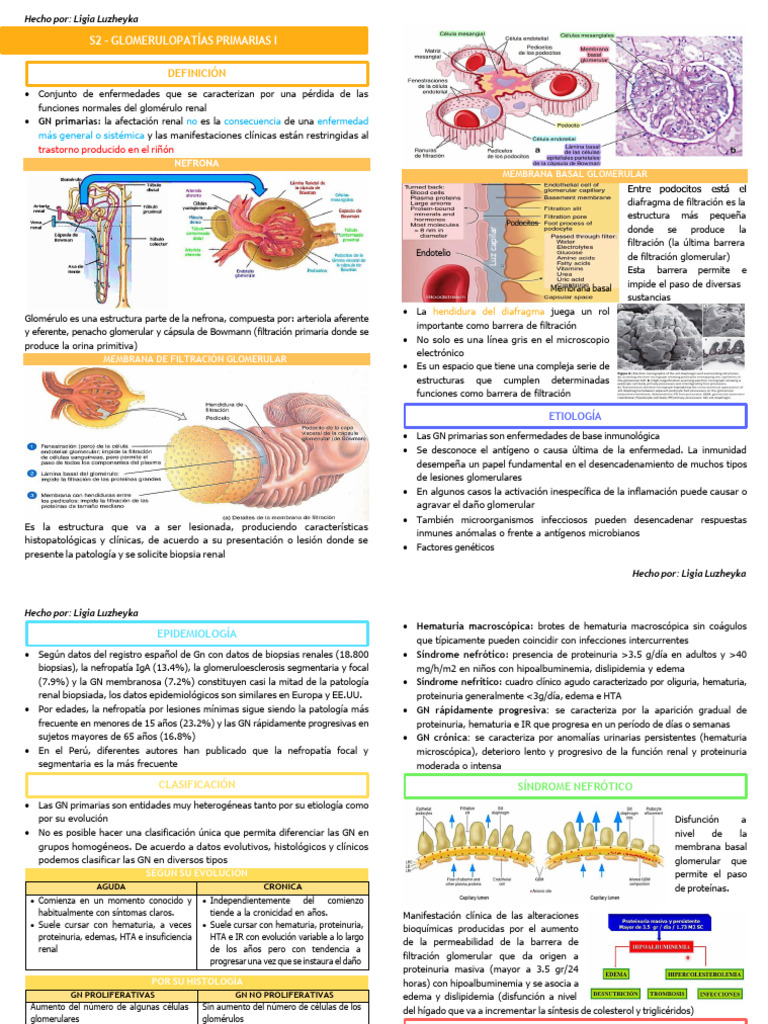 2.2 Nefro Teo | PDF