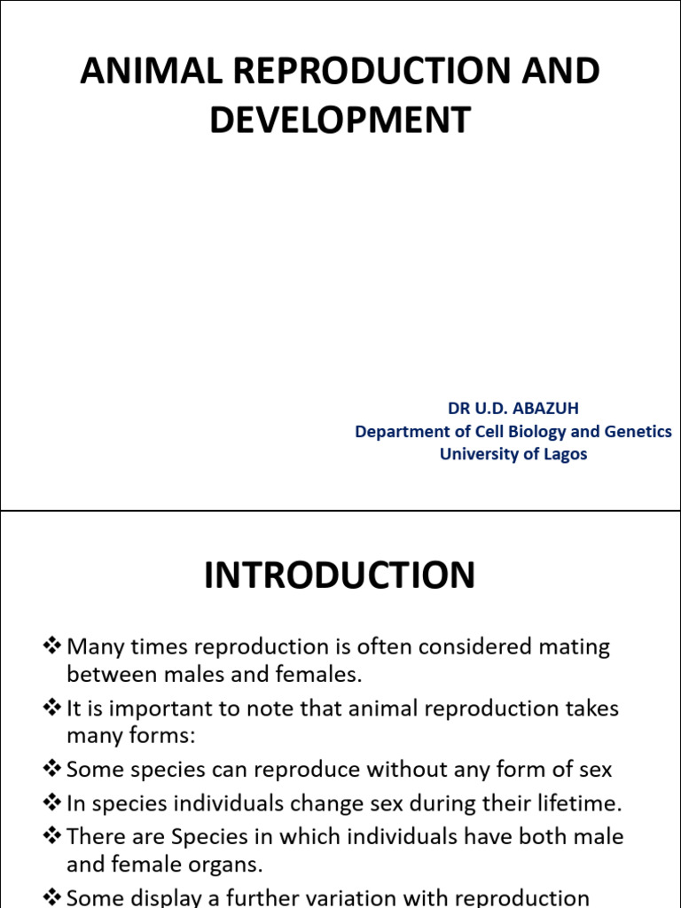 Bio 101 - fsc111 Animal Reproduction and Dvelopment | PDF ...