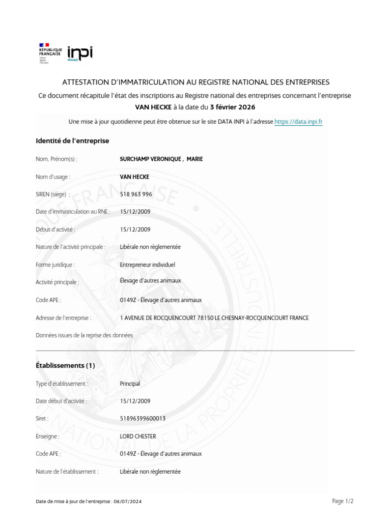 Extrait Immatriculation Inpi 518963996 | PDF