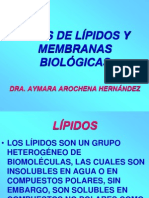 3. LÍPIDOS Y MEMBRANAS BIOLÓGICAS