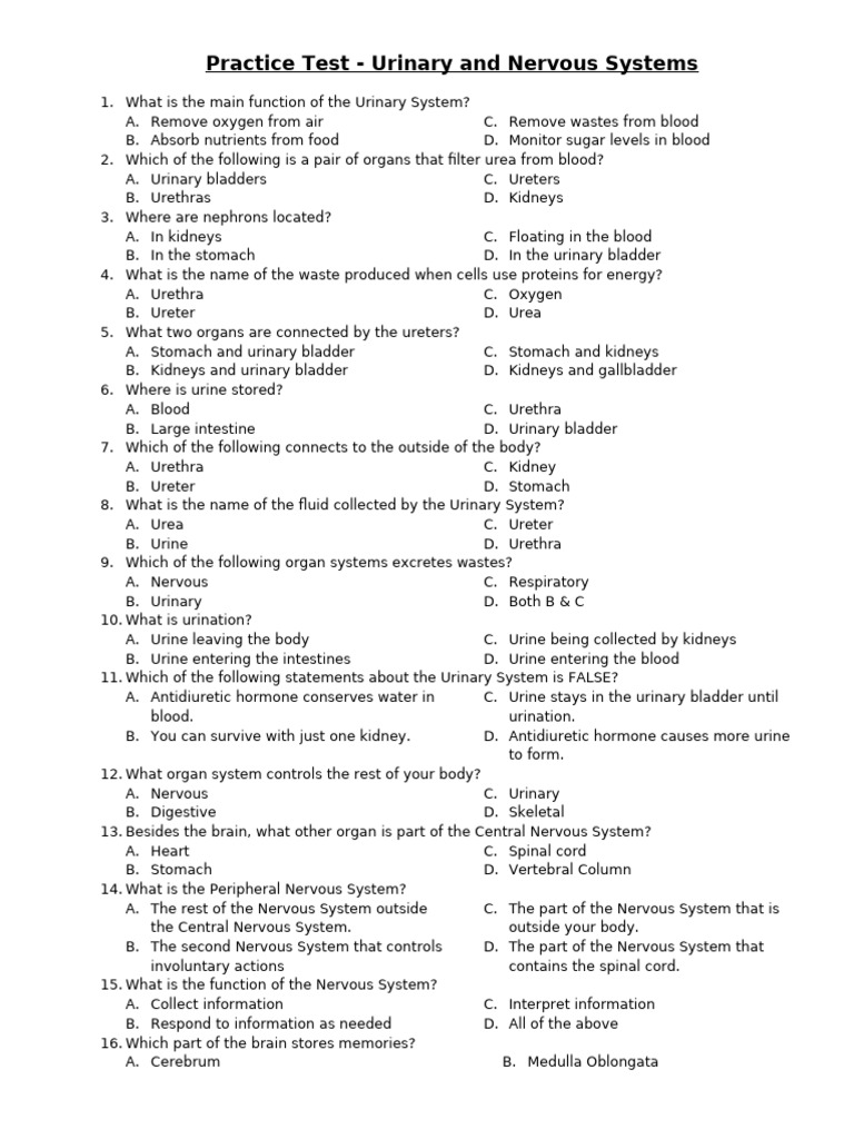 Practice Test - Urinary and Nervous Systems | PDF | Urinary System ...