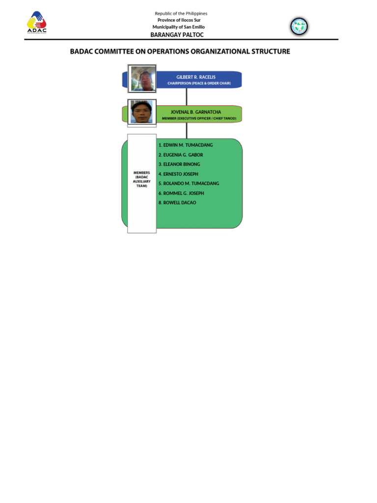 Committee On Operations Organizational Structure | PDF