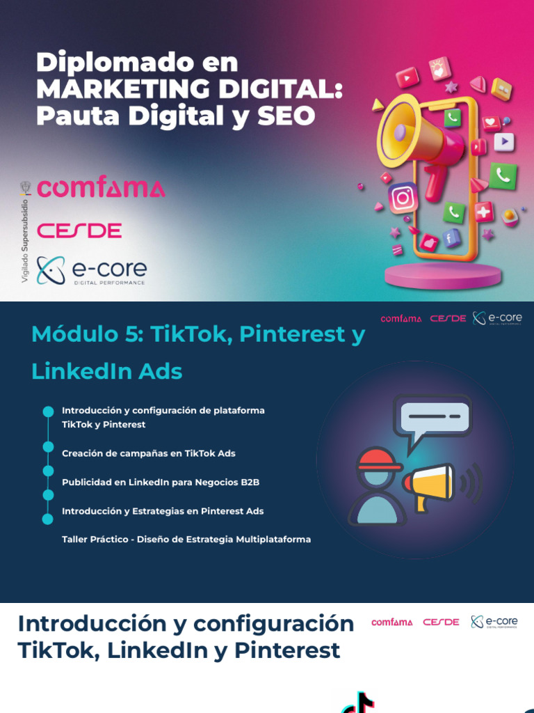 Módulo 5 - TikTok, Pinterest y LinkedIn Ads | PDF | Aplicación movil ...