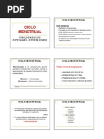 Ciclo Menstrual