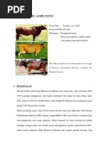 Kertas Kerja Ternakan Lembu