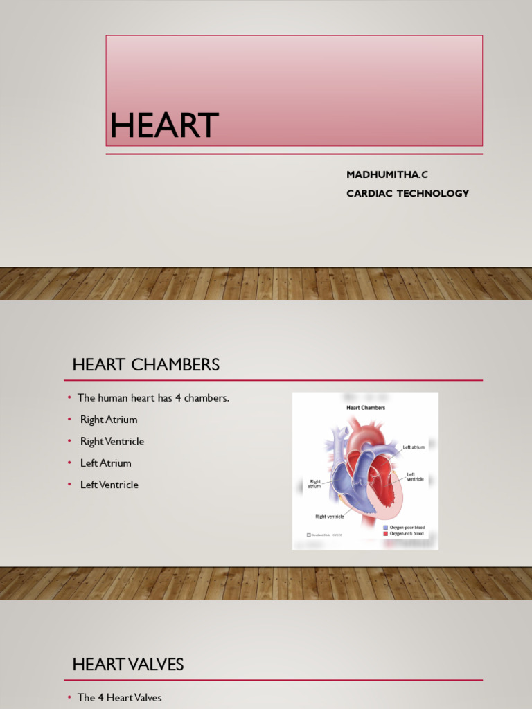 Heart | PDF