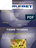 TIFOIDEA