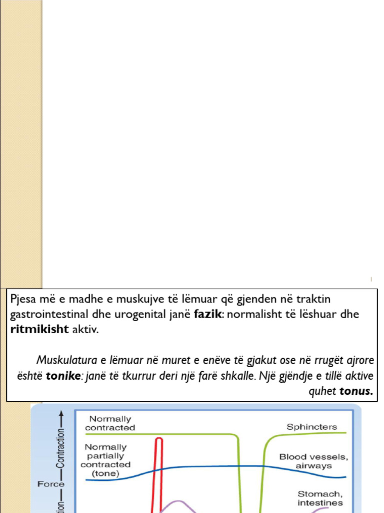 Leksion 3 Muskuli I Lemuar (Figurat) - 1 | PDF