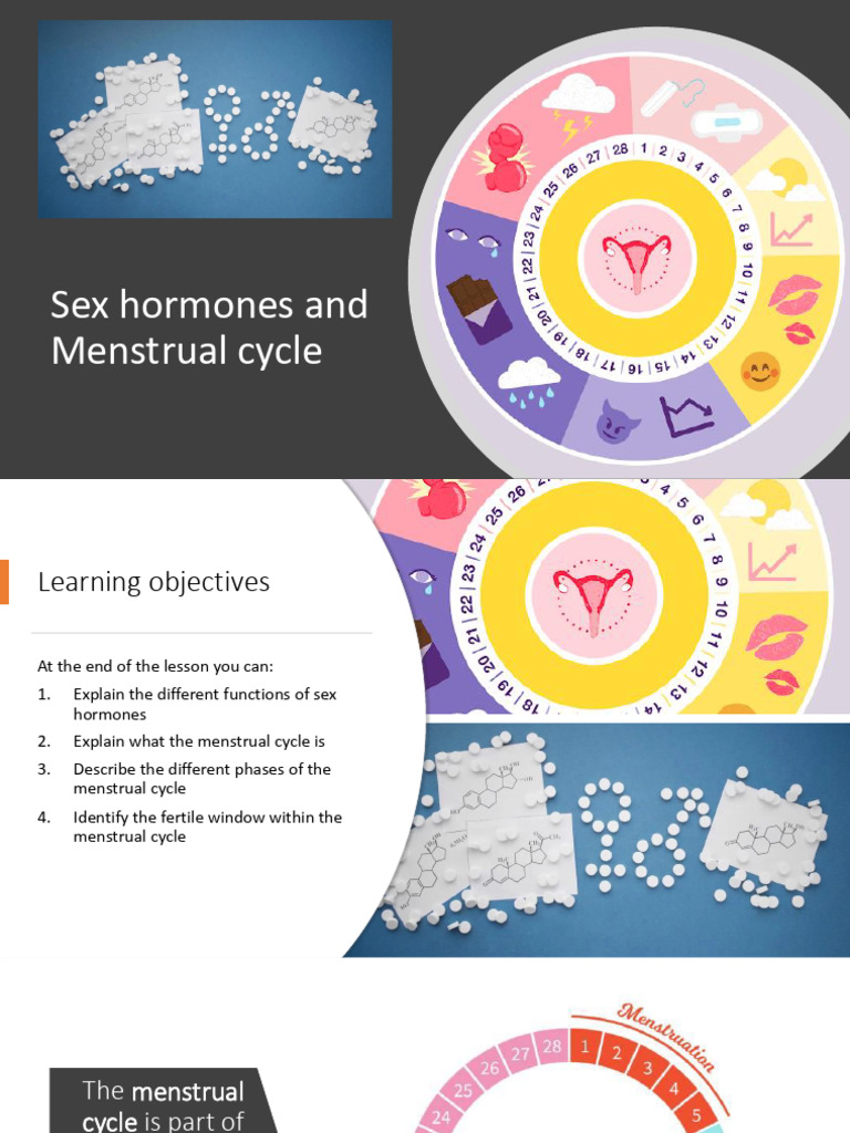 3 Sex Hormones and Menstrual Cycle | PDF