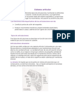 Sistema Articular 