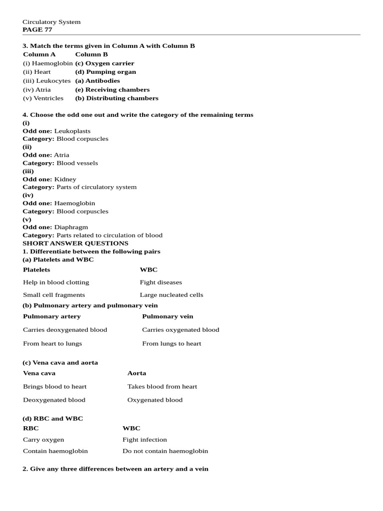 Grade 6 Circulatory System | PDF | Circulatory System | Heart