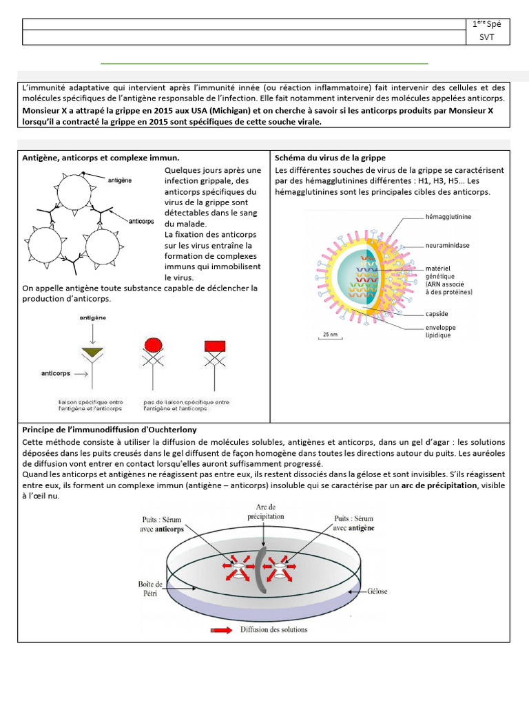 TP2 S Rodiagnostique Nonc | PDF | Grippe | VIH