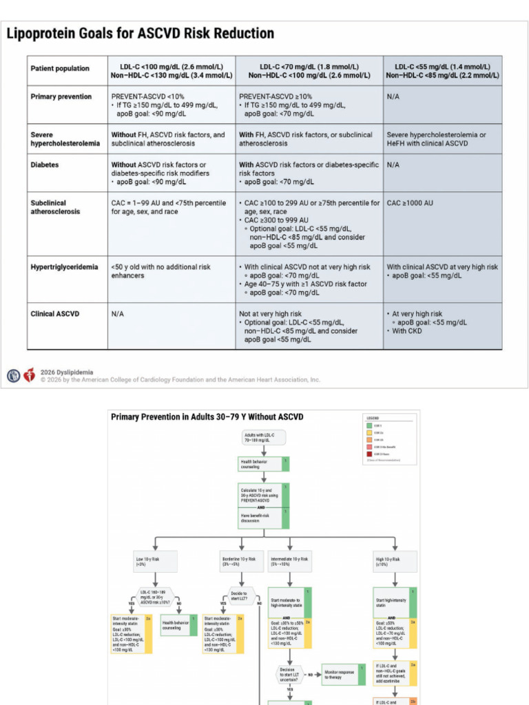 Dyslipidemia Algorithm 2026 | PDF