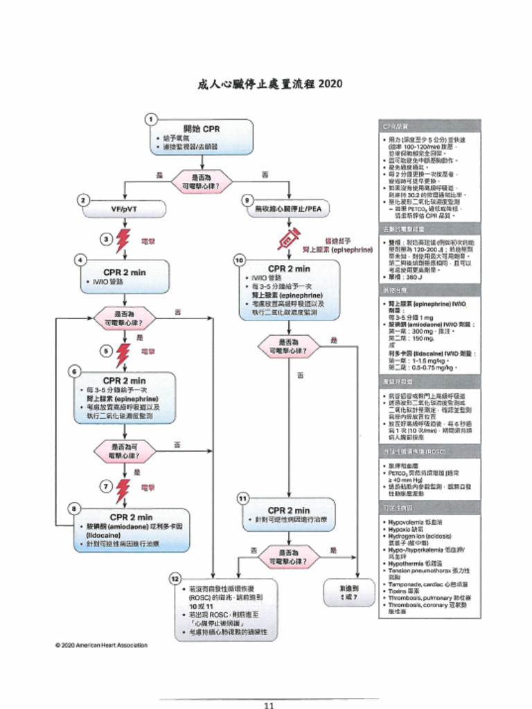 2020ACLS流程圖 | PDF