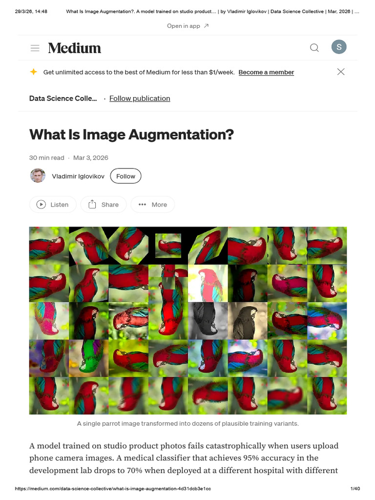 What Is Image Augmentation - A Model Trained On Studio Product - by ...