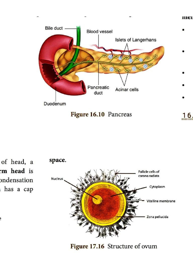 Biology Diagrams | PDF
