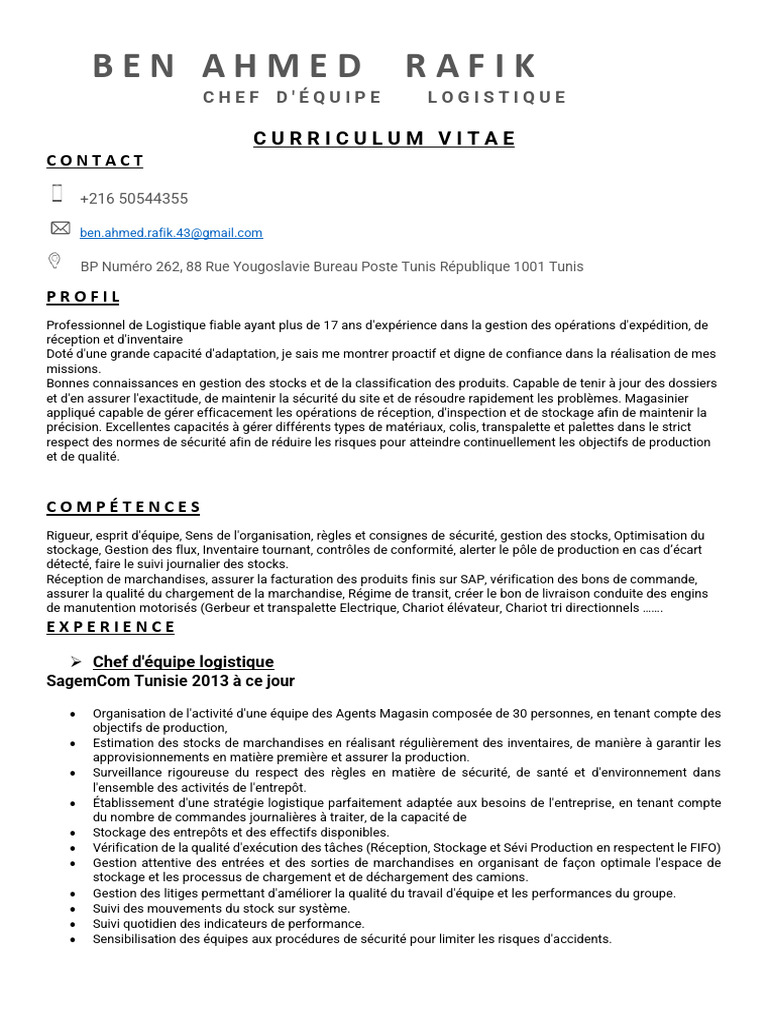 CV Rafik | PDF