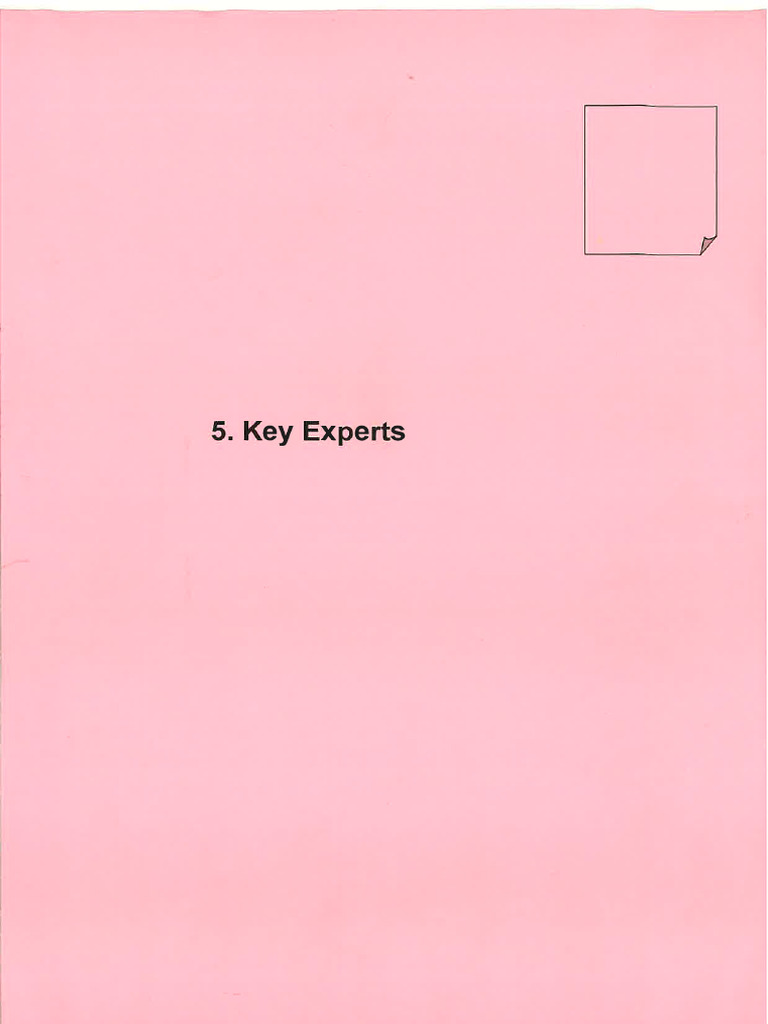 Key Expert | PDF | Urban Planning | Governance