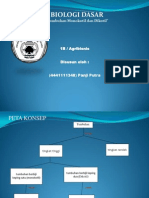 Biologi - Monokotil Dan Dikotil