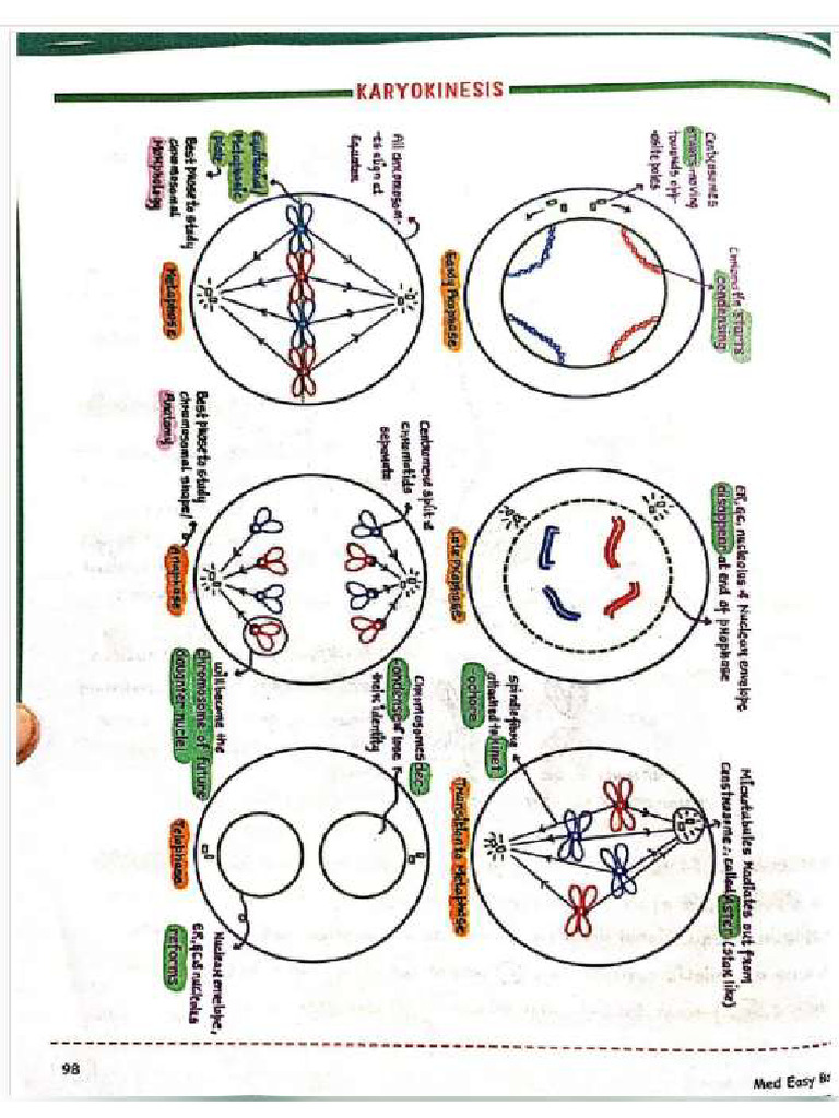 Screenshot 2026-03-29 203701 | PDF
