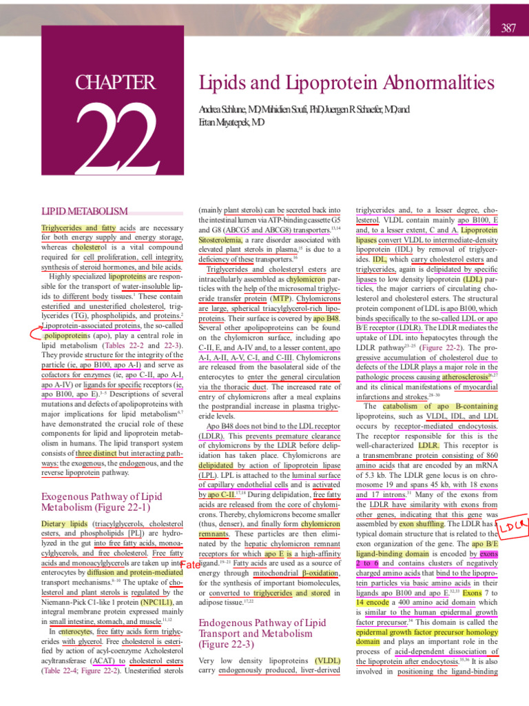 Roth Lipoprotein Metabolism | PDF | Lipoprotein | Cholesterol