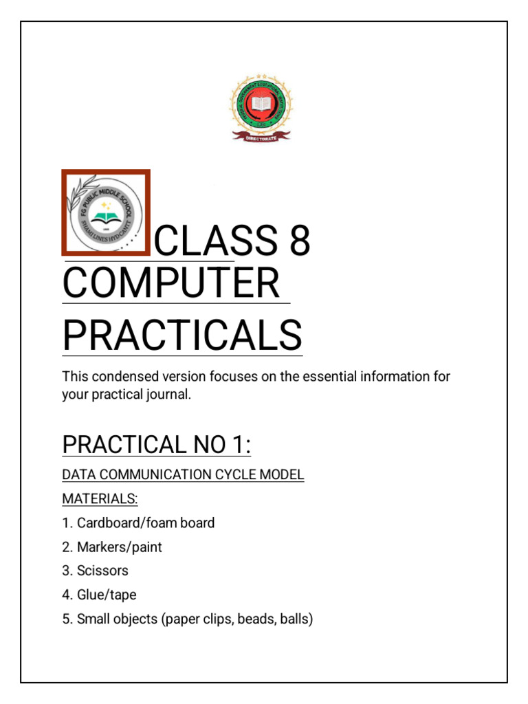 Class 8 Computer Practicals | PDF