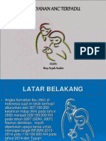 Pelayanan Anc Terpadu