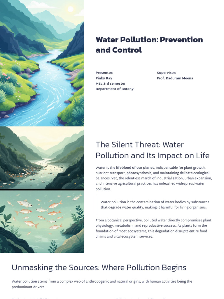 Water Pollution Prevention and Control | PDF | Water Pollution | Wetland