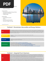 Shell Business Areas Overview 2025 | PDF | Royal Dutch Shell | Petroleum