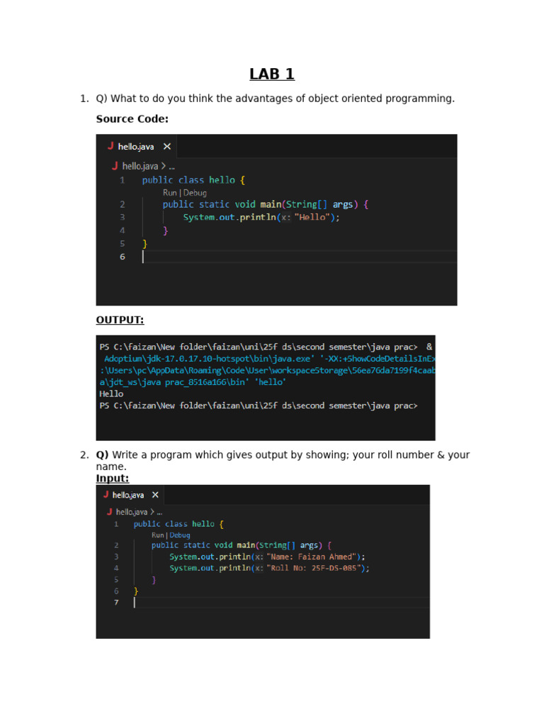 Lab 1 Oops | PDF