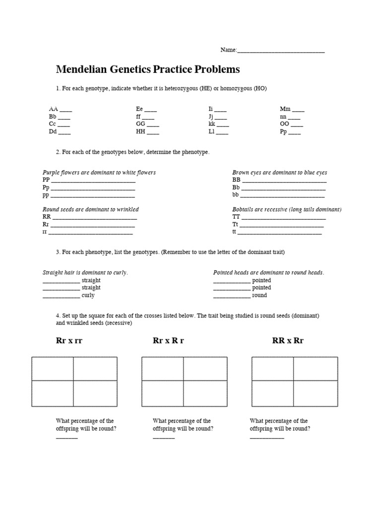 Mendelian Genetics Worksheet | PDF | Zygosity | Genotype