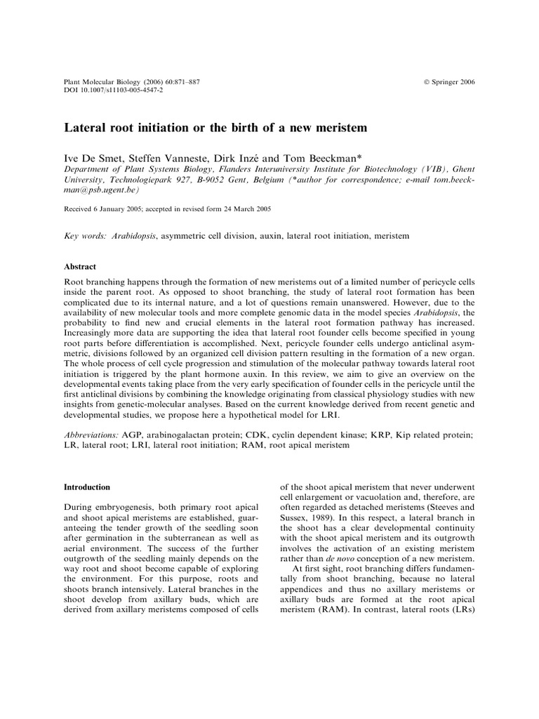Lateral Root Initiation | PDF | Root | Auxin
