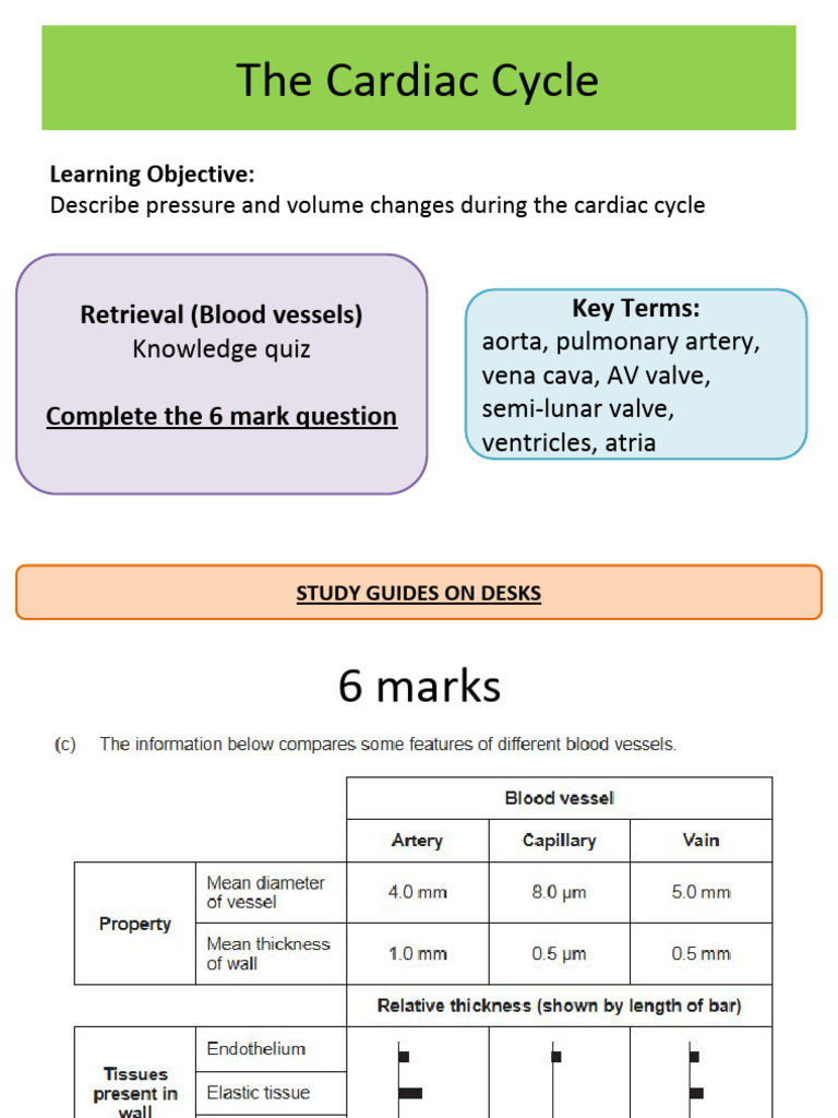 Cardiac Cycle With CPAC | PDF | Diastole | Heart Valve