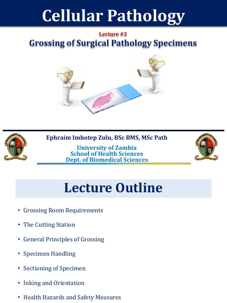 Histopathology - 03 - Grossing | PDF | Histopathology | Pathology