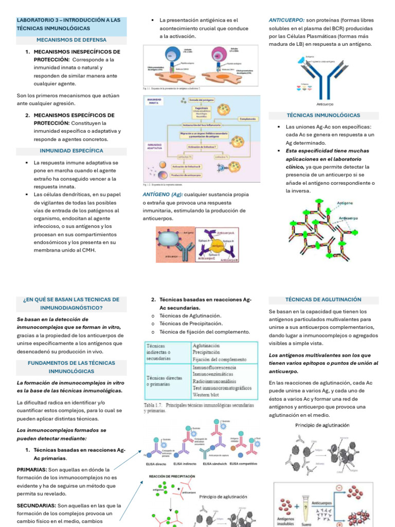 Laboratorio 3 - Técnicas Inmunológica (PCR) | PDF | Sistema inmune ...